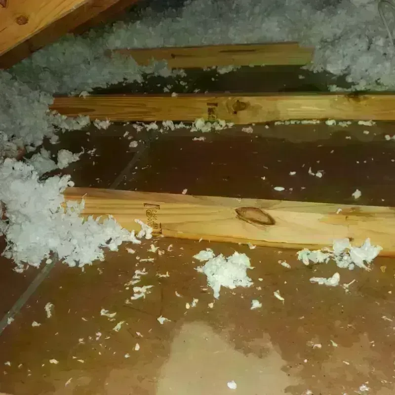 Attic Water Damage in San Augustine, TX